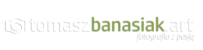 tomaszbanasiak.art